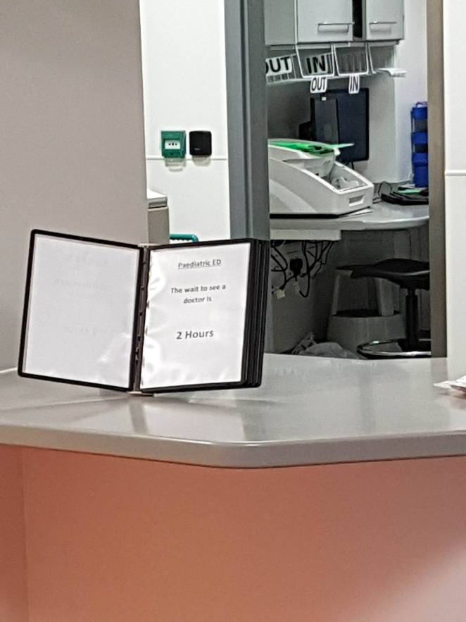 22312208_10214453886359725_1874431494_o