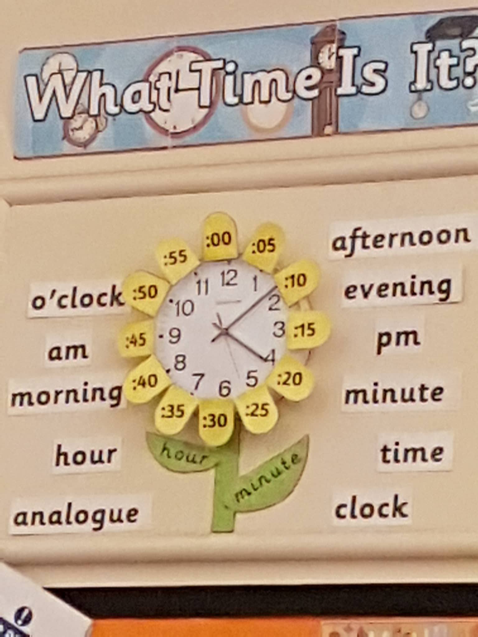 22555885_10214544745871156_1927319274_o (1)