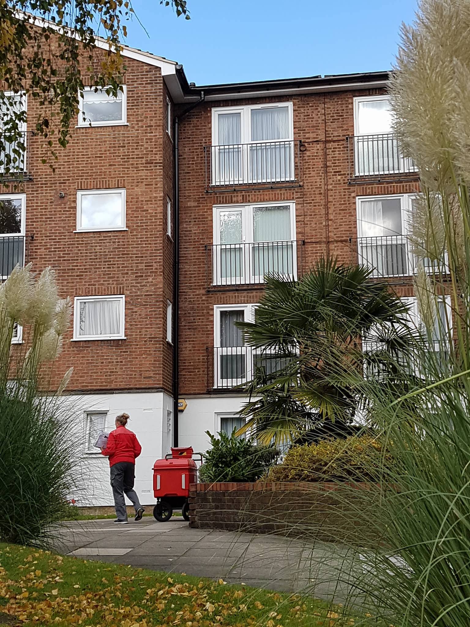 22563588_10214544745791154_1069322875_o