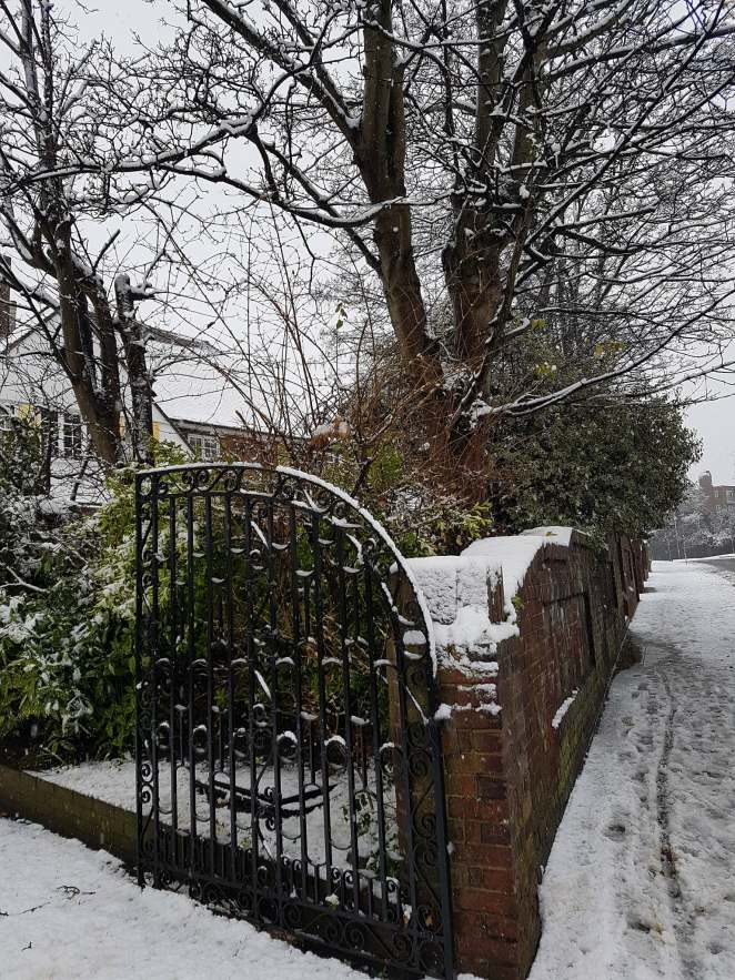 25397793_10215033696414614_553822756_o