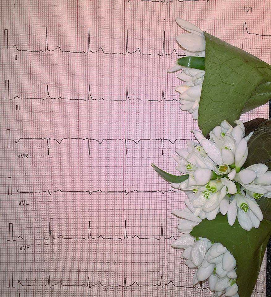 29216758_10215862698739154_733550074507821056_n