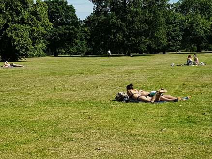 35236669_10216601104278831_4998114031458844672_n