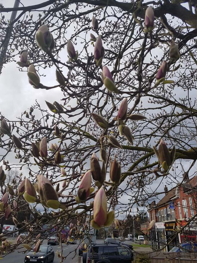 89347206_2858003097620860_8271977394277974016_n