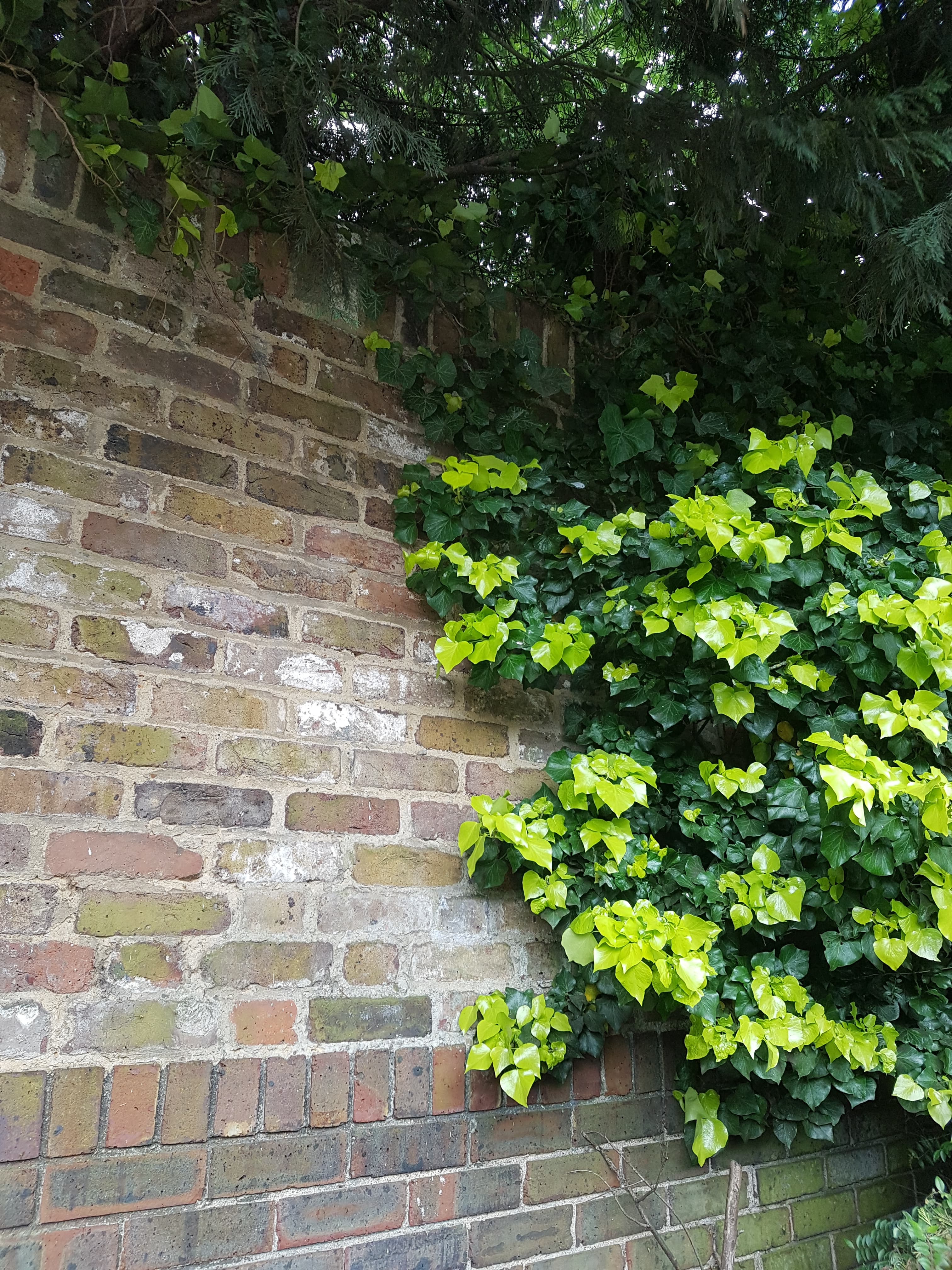 97256659_1181186002231908_3023589962009280512_n